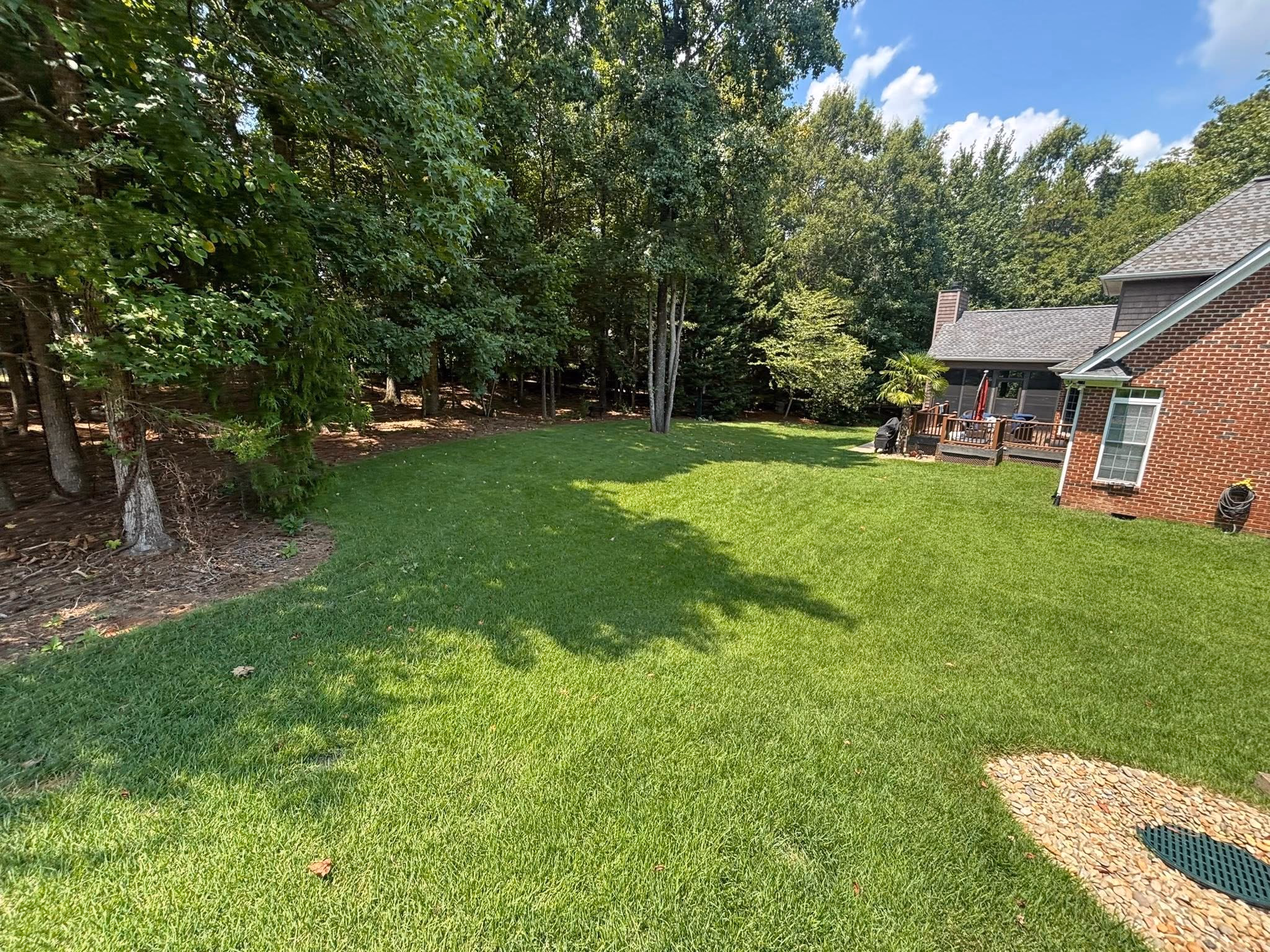 The same backyard covered in thick, even green lawn running up to the deck and tree line.